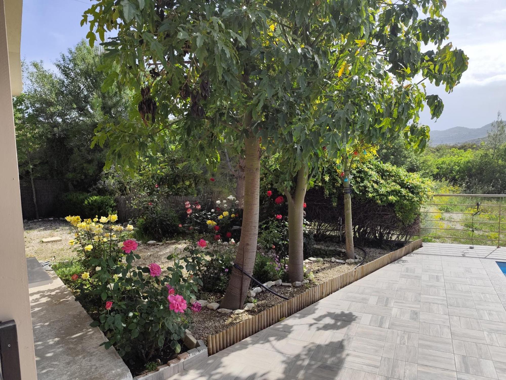 Roses Villa Trimiklini Bagian luar foto